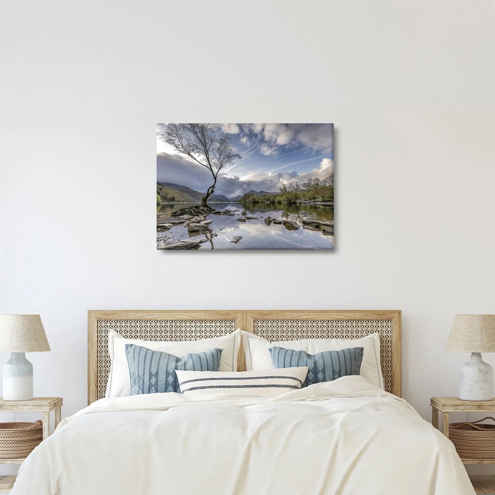 Obraz rzeki z drzewem (70x50 cm)