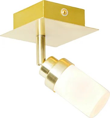 Nowoczesny reflektor łazienkowy mosiądz IP44 - Japie