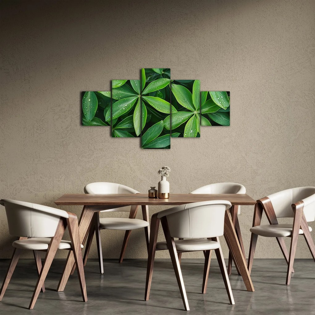 Obraz - Liście z kroplami rosy (125x70 cm)