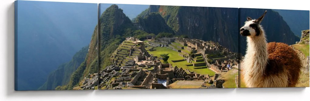 Obraz - Lama i Machu Picchu (170x50 cm)
