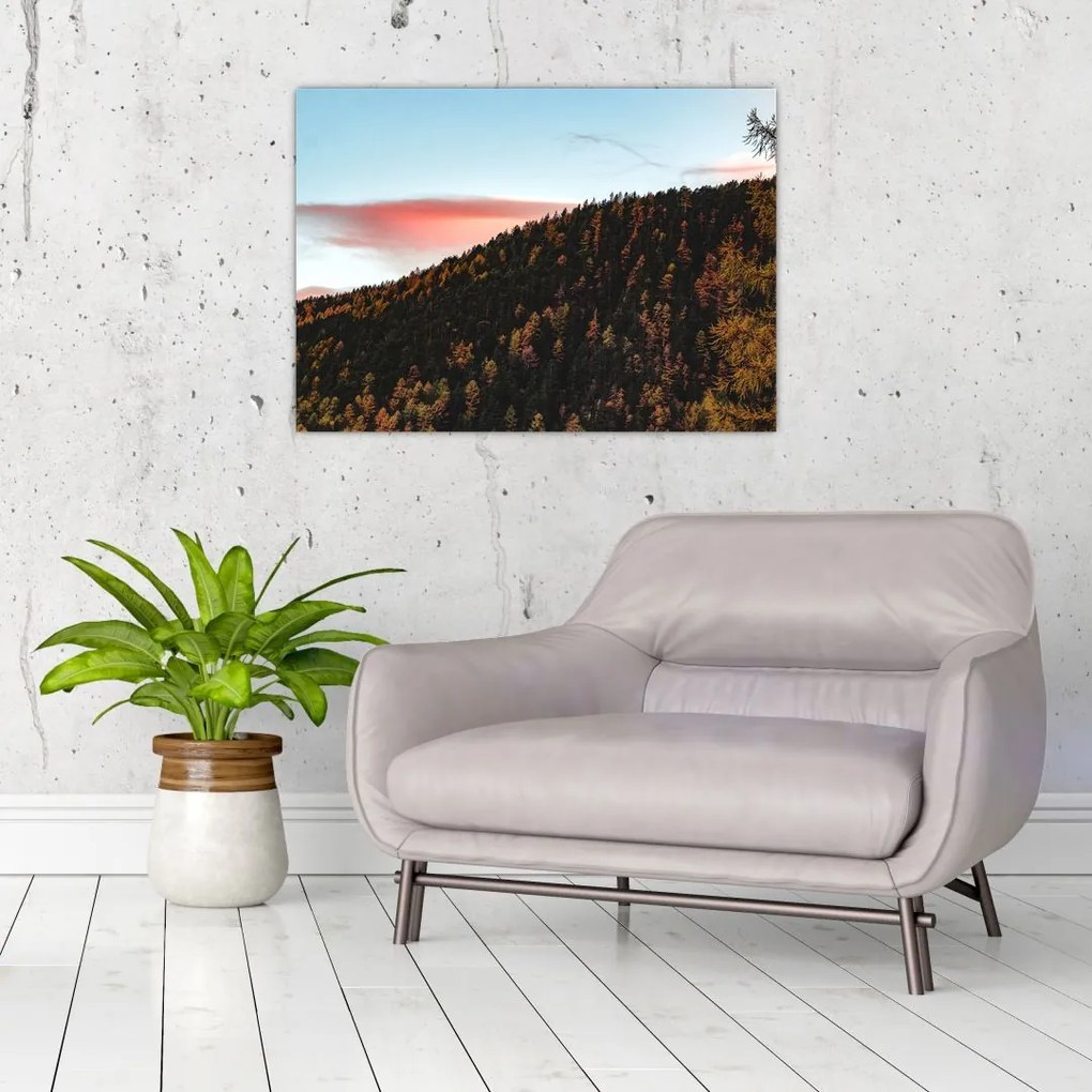 Obraz na szkle rudzików nad wzgórzem (70x50 cm)