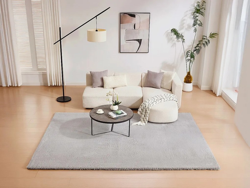 Dywan shaggy z długim włosiem imitującym futro - 200 x 290 cm - Szary - BUNNY