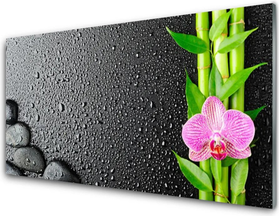 Panel Szklany Egzotyczny Pęd Bambusa