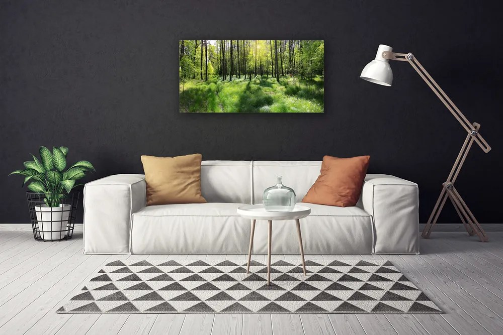 Obraz Canvas Las Trawa Roślina Natura