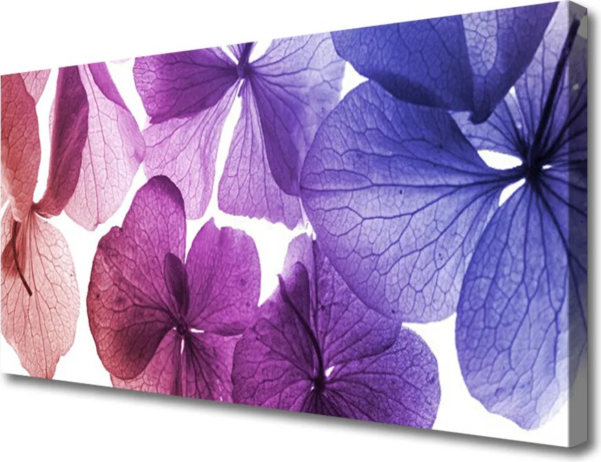 Zdjęcie na płótnie Letni Ogród Kwiatowy