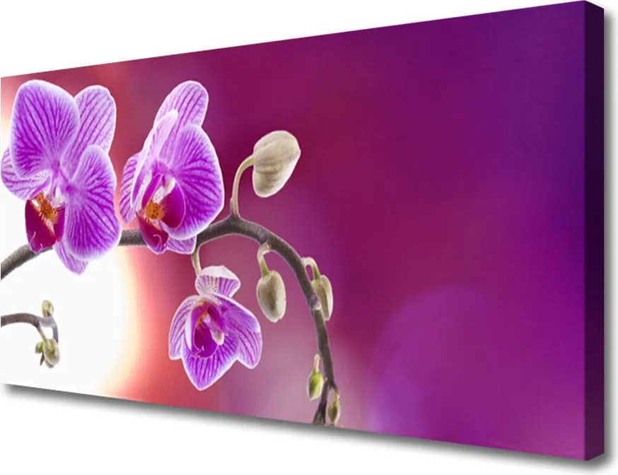 Obraz canvas Bukiet Letnich Kwiatów