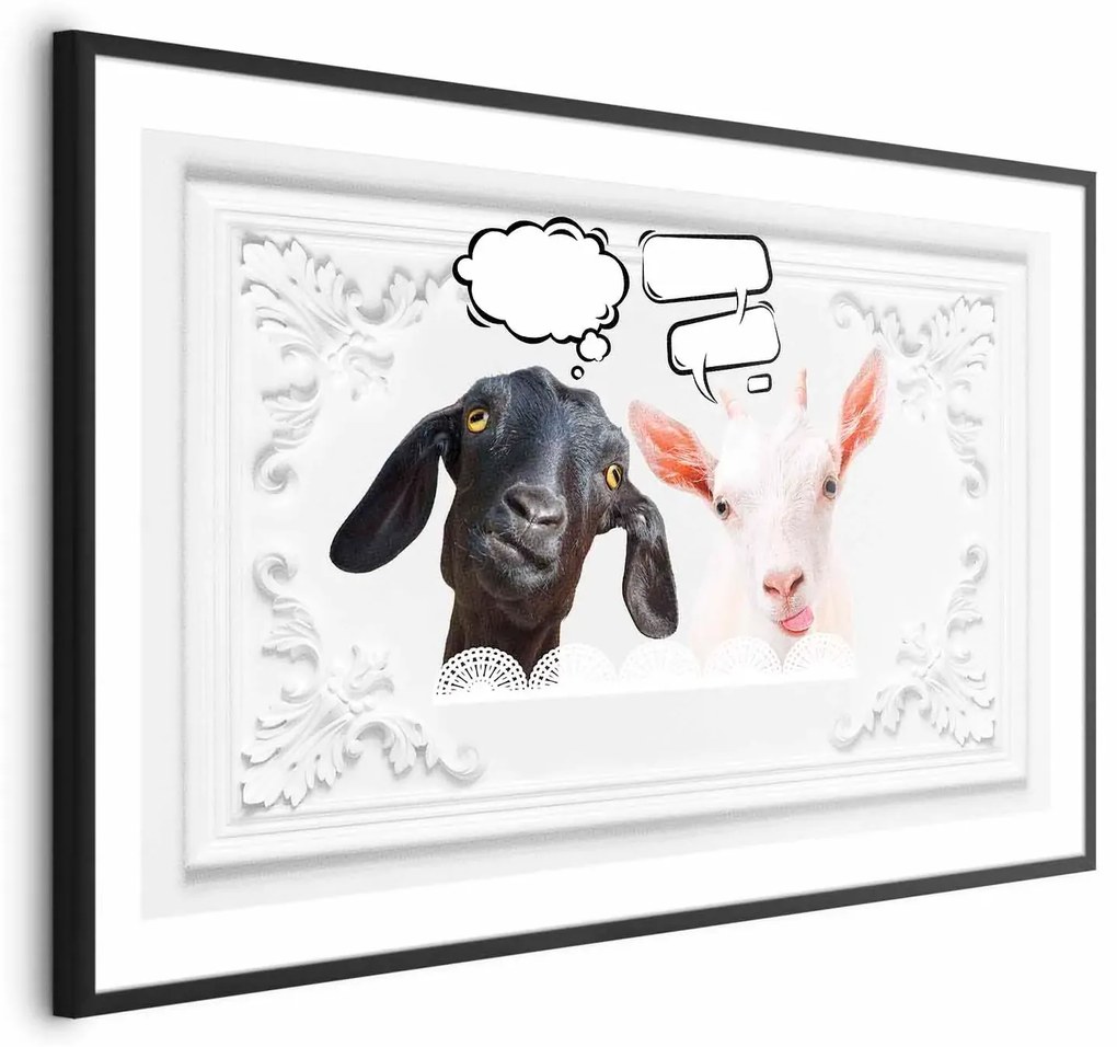 Plakat Śmieszne kozy 60x40 cm z ramą czarną bez marginesu ARTGEIST B