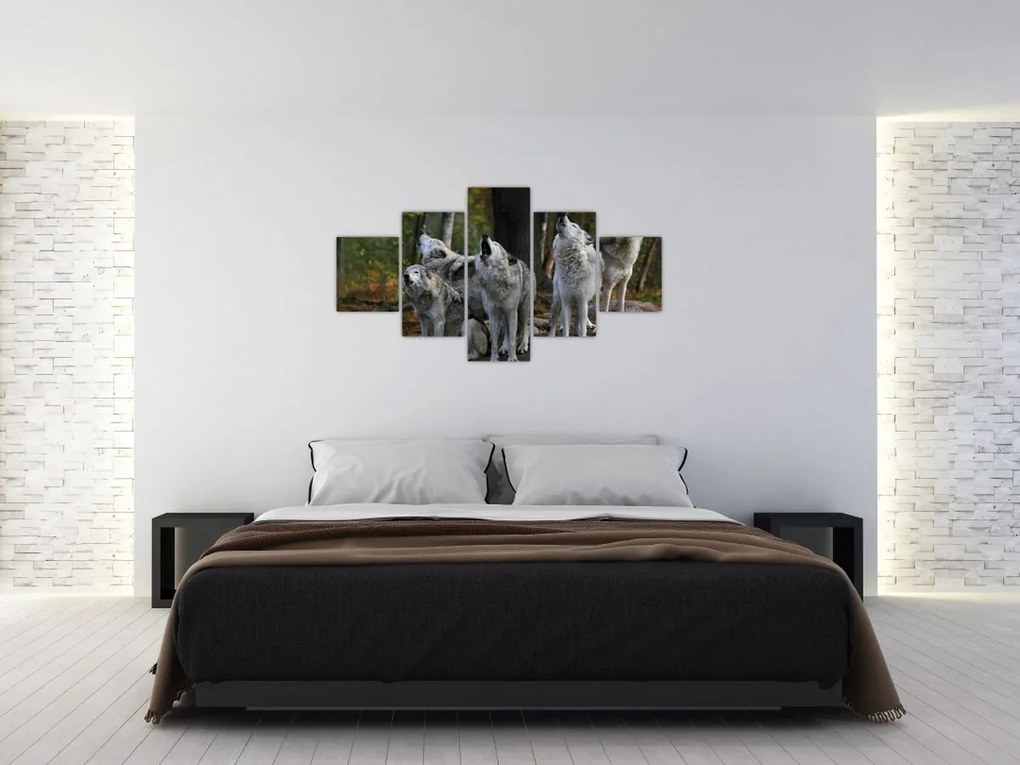 Obraz - Wilki na skale (125x70 cm)
