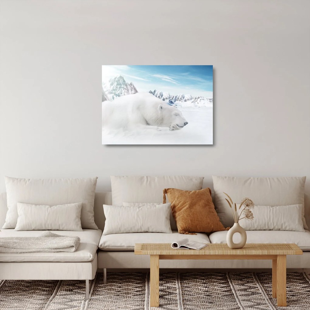 Obraz na szkle - Niedźwiedź polarny (70x50 cm)
