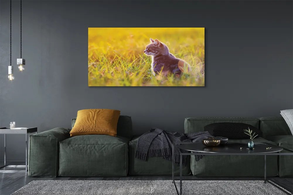 Fotoobraz na płótnie Kot w Trakcie Polowania