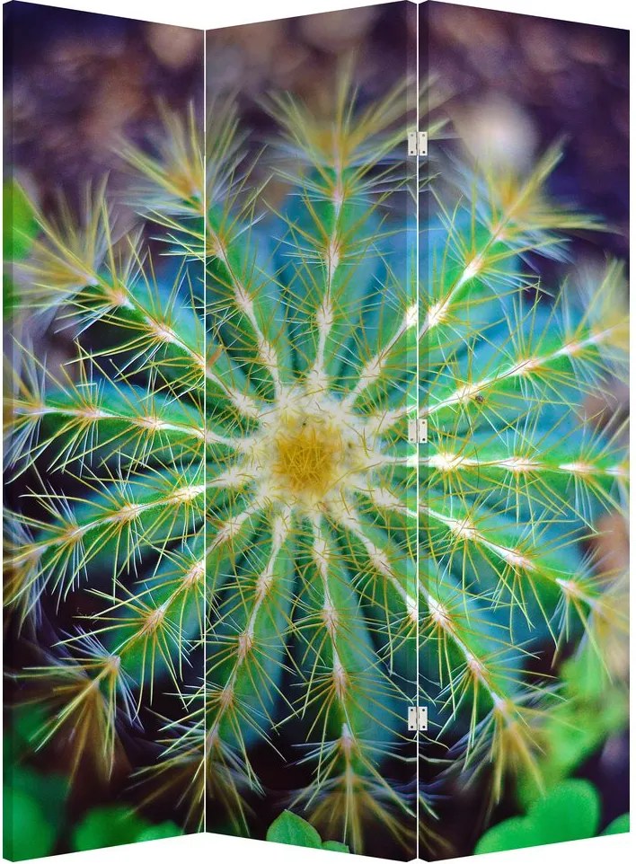 Parawan - Kaktus (126x170 cm)