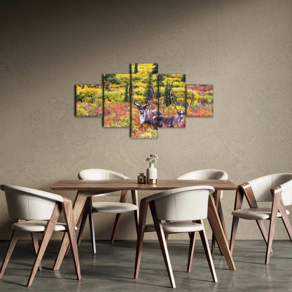 Obraz - Renifer tundrowy (125x70 cm)