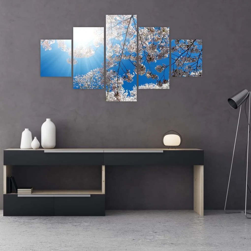 Obraz - Wiśniowe kwiaty (125x70 cm)