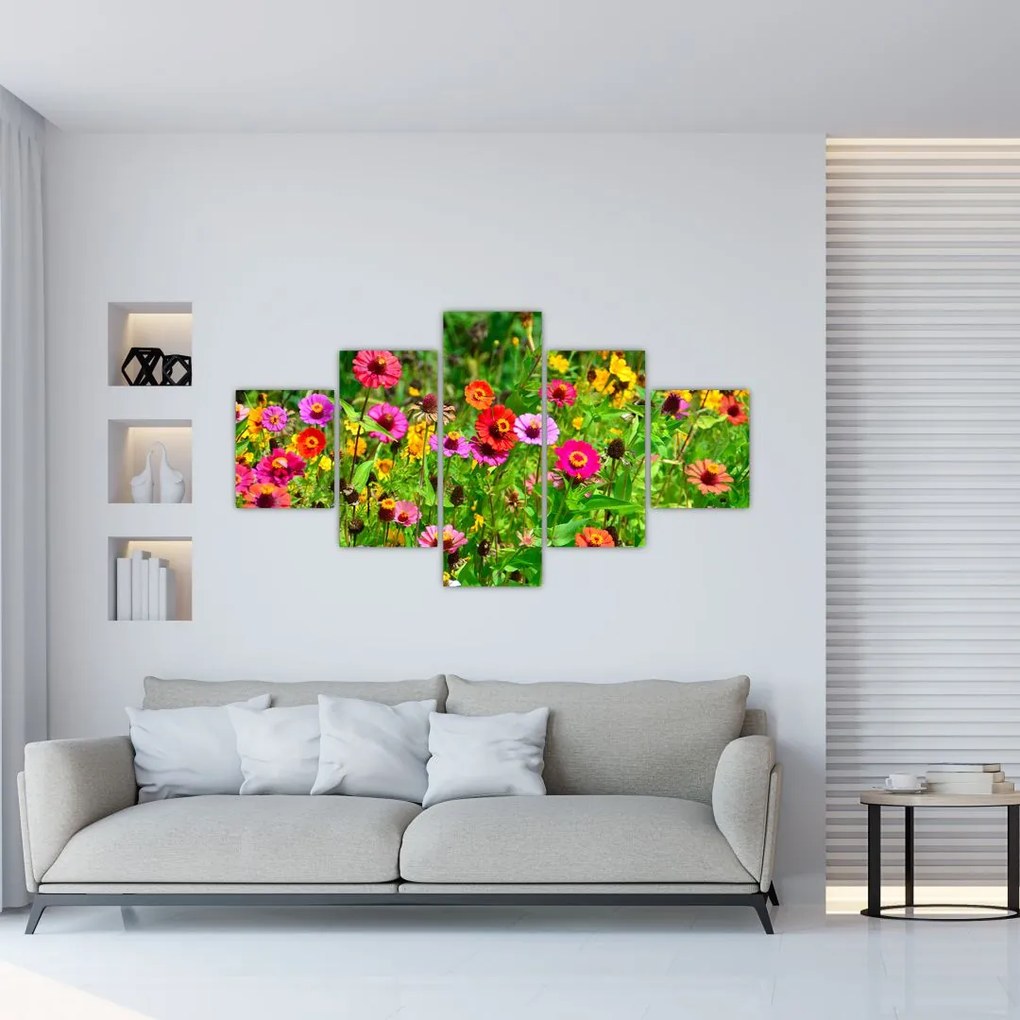Obraz kwiatów polnych (125x70 cm)