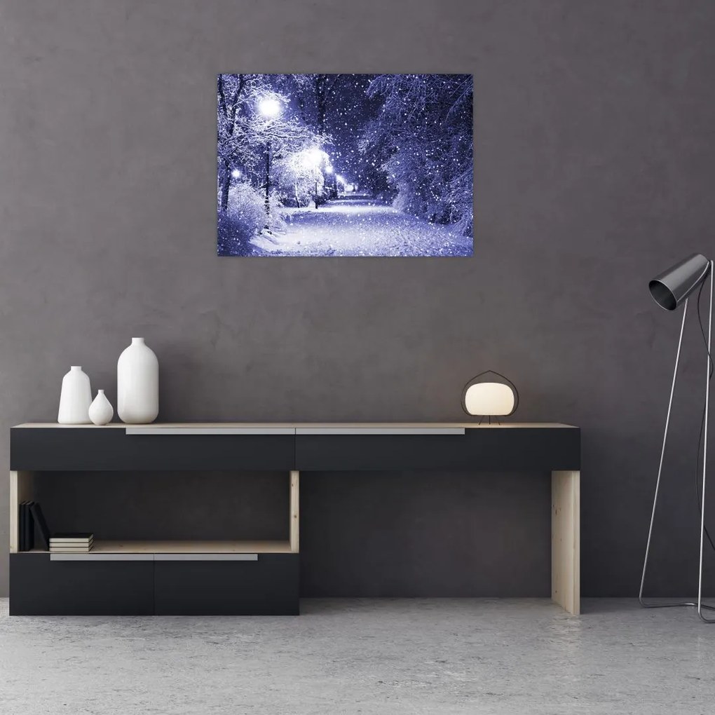 Obraz na szkle - Magiczna zimowa noc (70x50 cm)