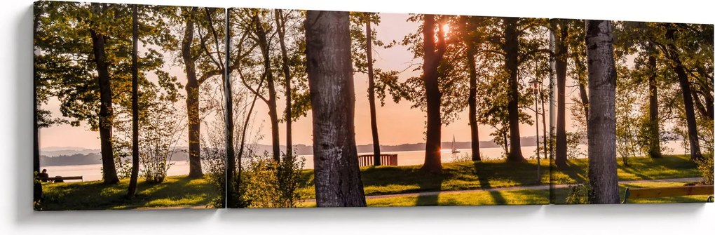 Obraz drzew nad jeziorem (170x50 cm)