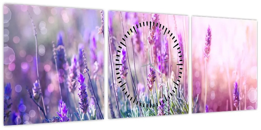 Obraz - Lawenda w słońcu (z zegarem) (90x30 cm)