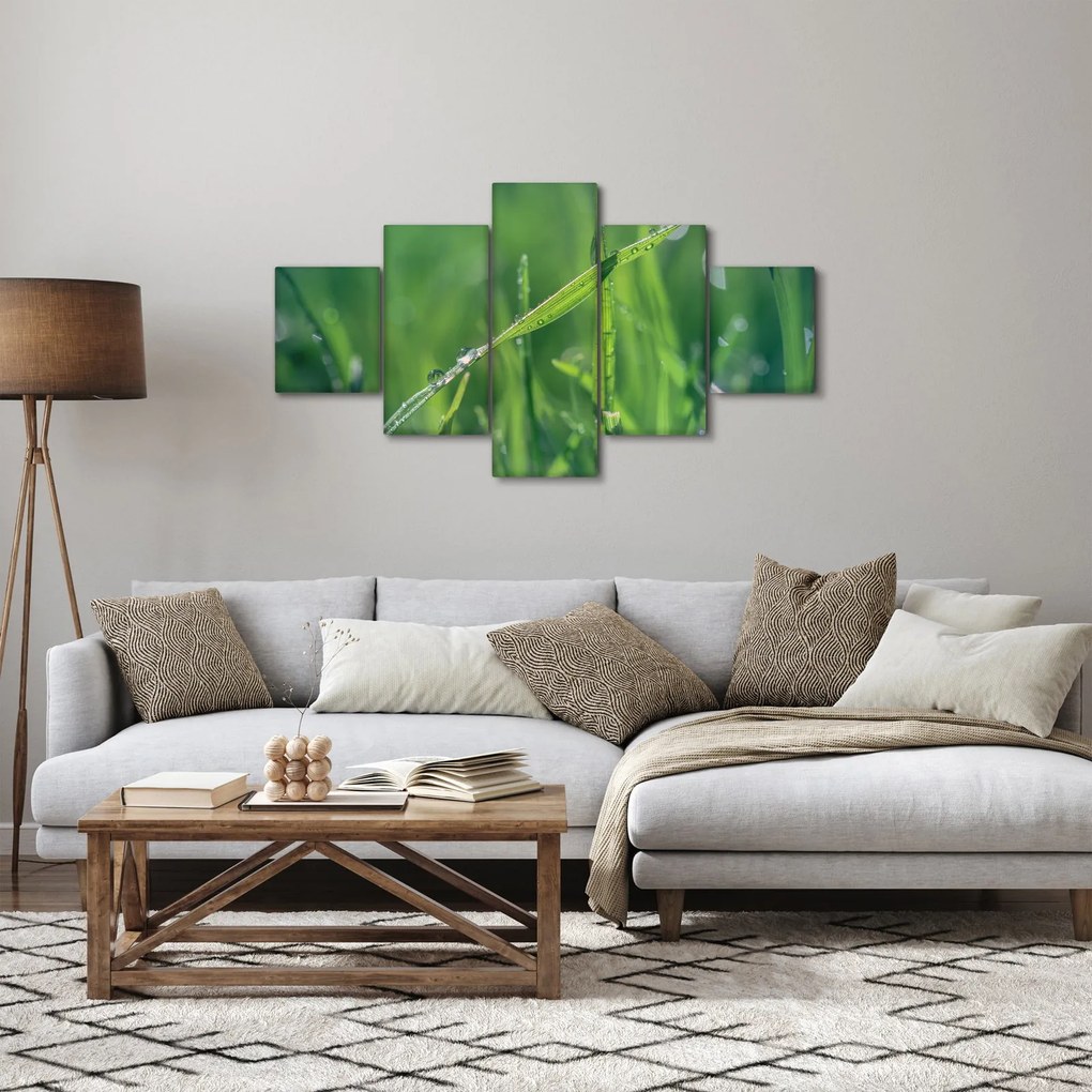 Obraz kropli rosy (125x70 cm)