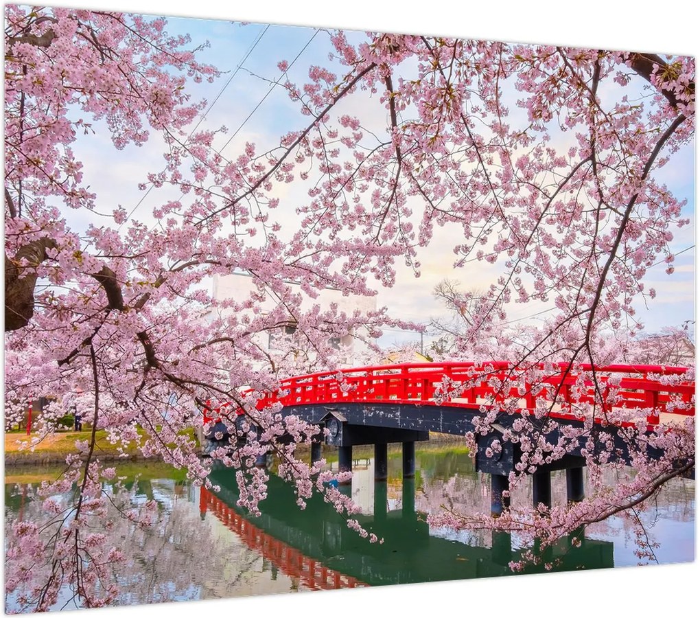 Obraz na szkle - Hirosaki, Japonia (70x50 cm)
