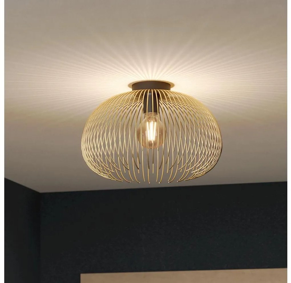 Eglo 900165 - Lampa sufitowa VENEZUELA 1xE27/40W/230V