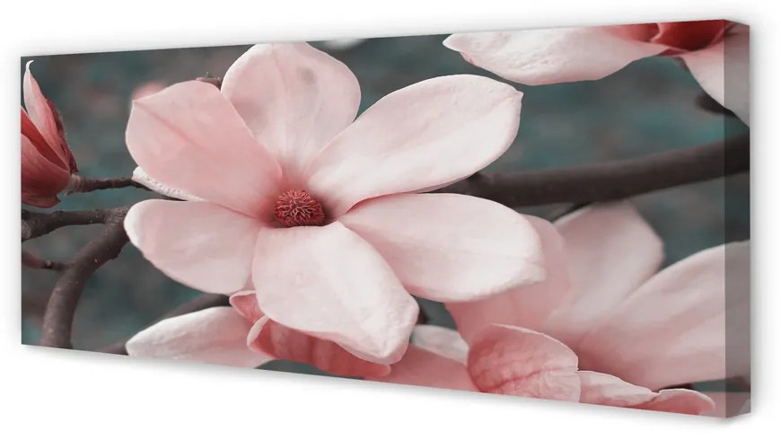 Zdjęcie na płótnie Różowe Kwiaty