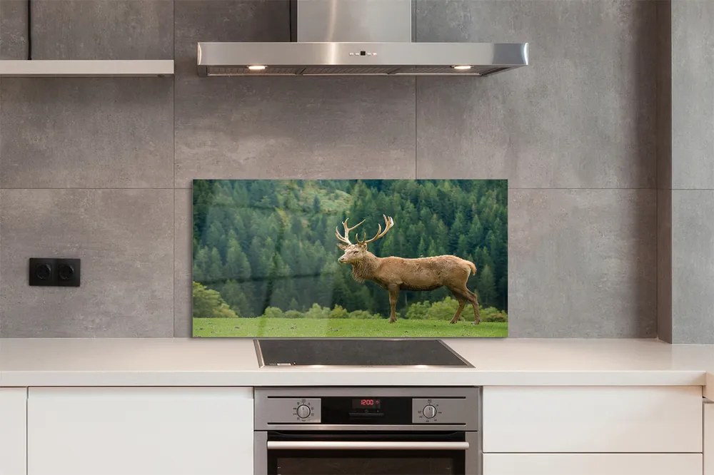 Panel nad Blat Kuchenny Jeleń na Otwartym Polu