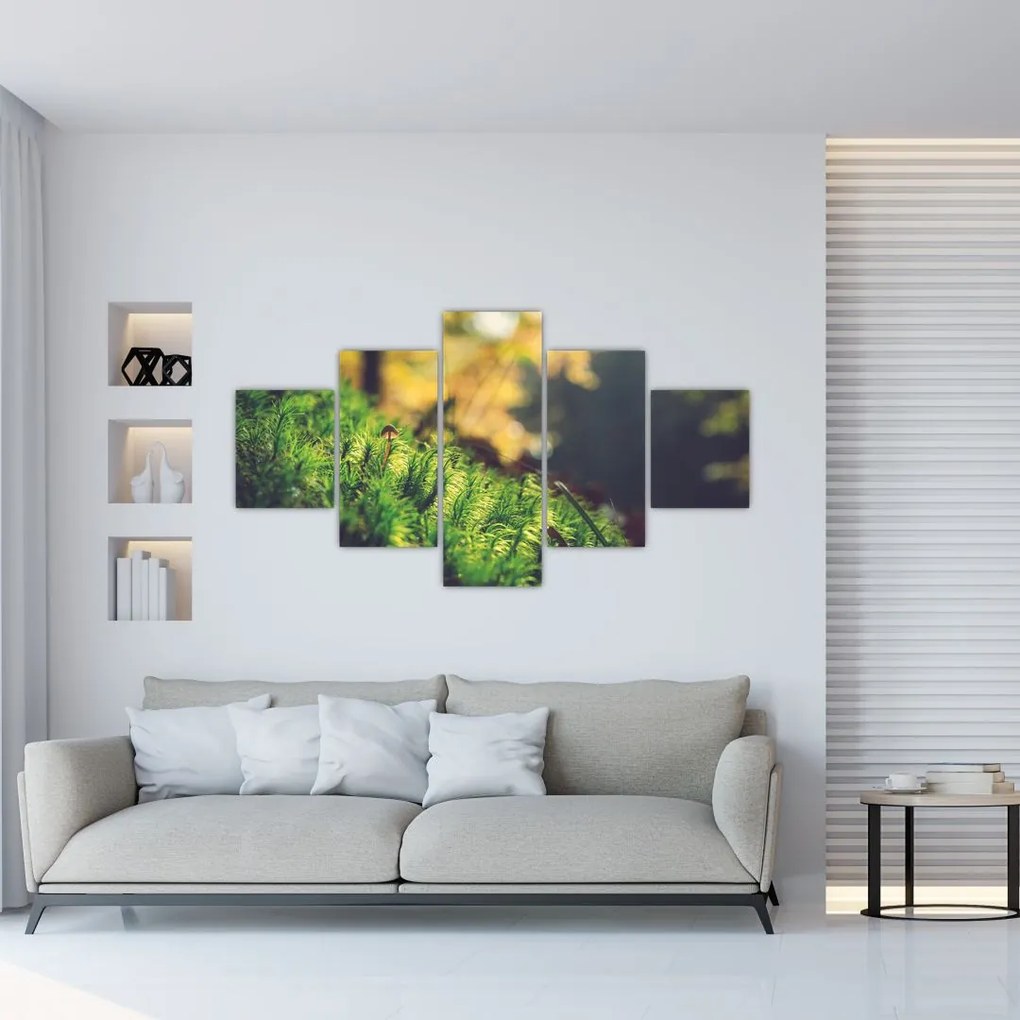 Obraz mchu z grzybem (125x70 cm)