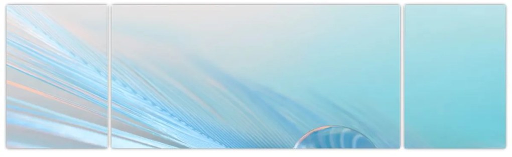 Obraz - Nebieska kropla (170x50 cm)