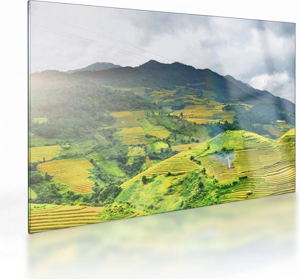 Obraz na szkle - plantacja (70x50 cm)