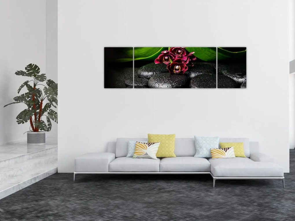 Obraz - Kamienie lawy (170x50 cm)