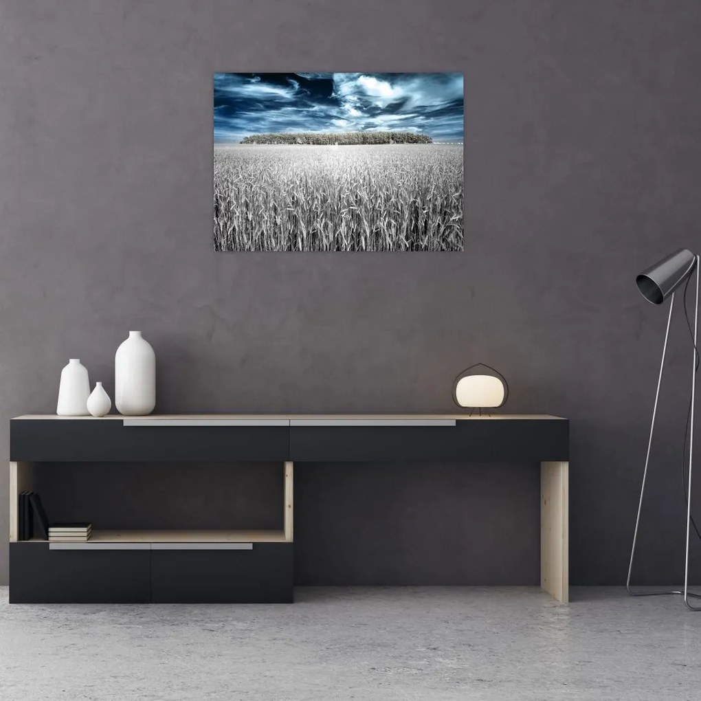 Obraz na szkle pola (70x50 cm)