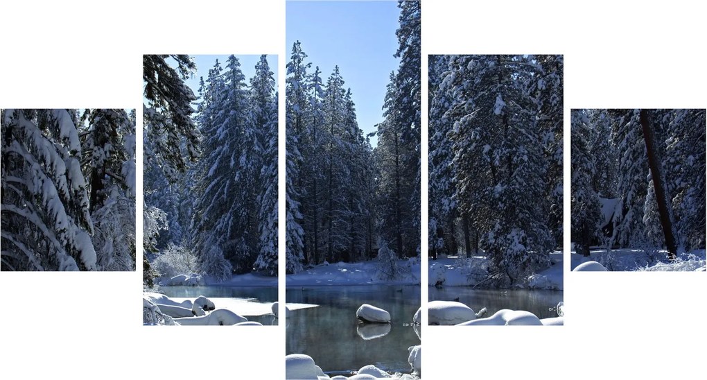 Obraz śnieżnego lasu (125x70 cm)