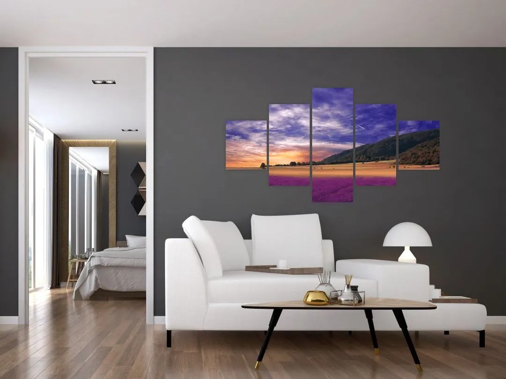 Obraz lawendowej łąki (125x70 cm)