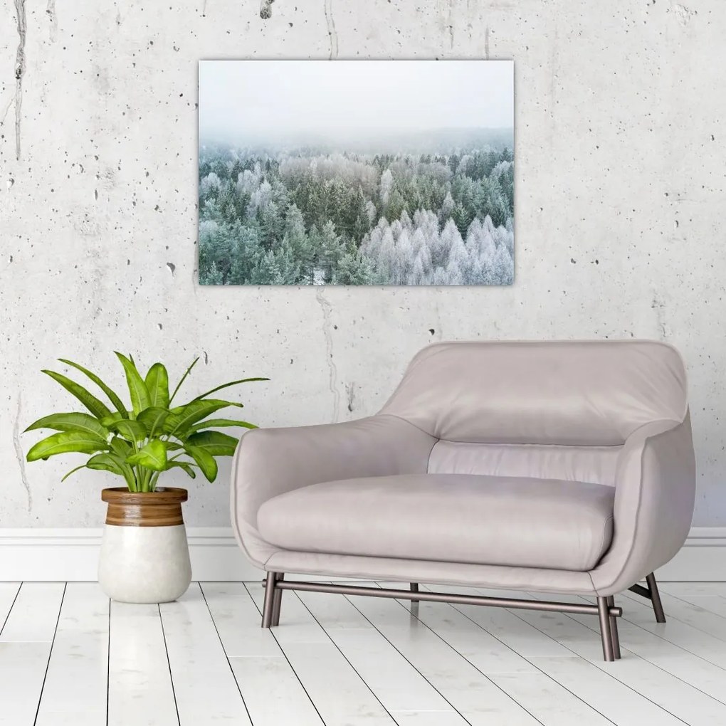 Obraz na szkle - Ośnieżone szczyty lasów (70x50 cm)