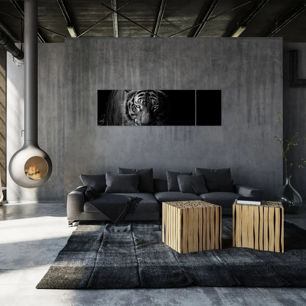 Obraz dzikiego tygrysa (170x50 cm)
