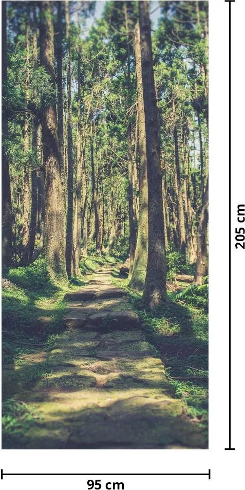 Fototapeta na drzwi - Ścieżka wśród drzew (95x205cm)