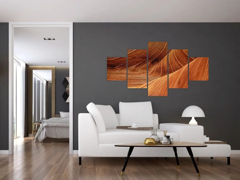 Obraz - Czerwony piasek (125x70 cm)