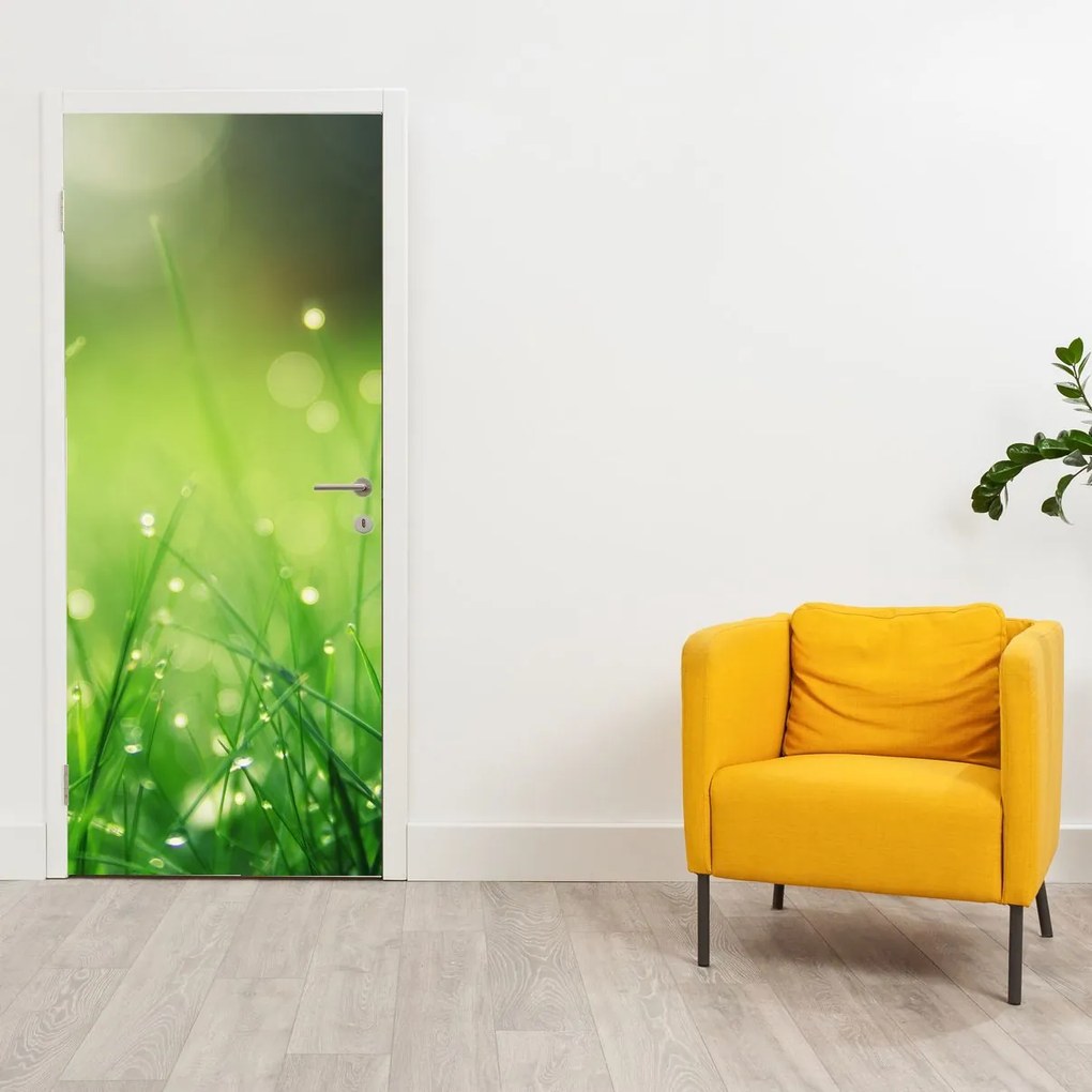 Fototapeta na drzwi - Rosa na trawie (95x205cm)