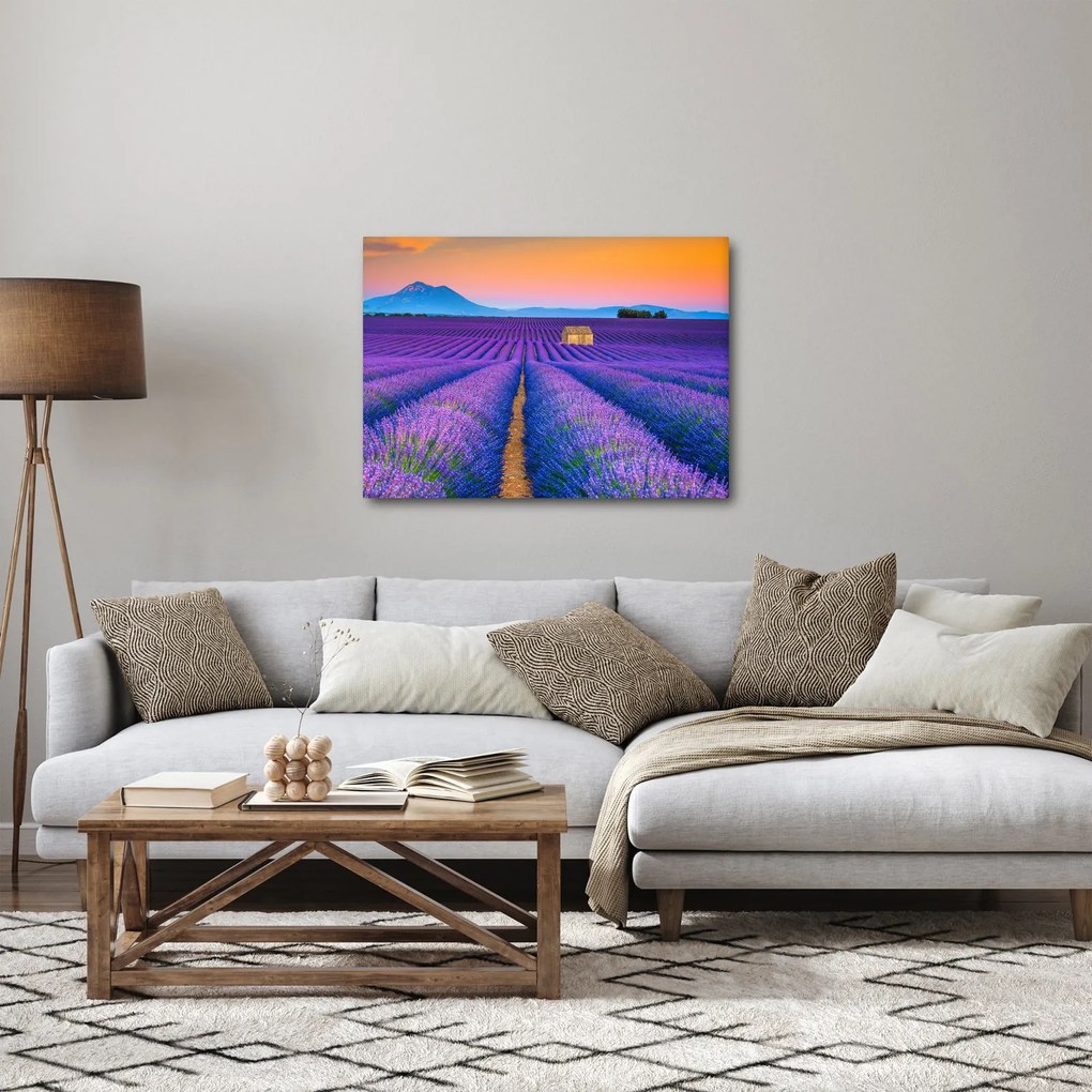 Obraz - Lewndowe pole (70x50 cm)