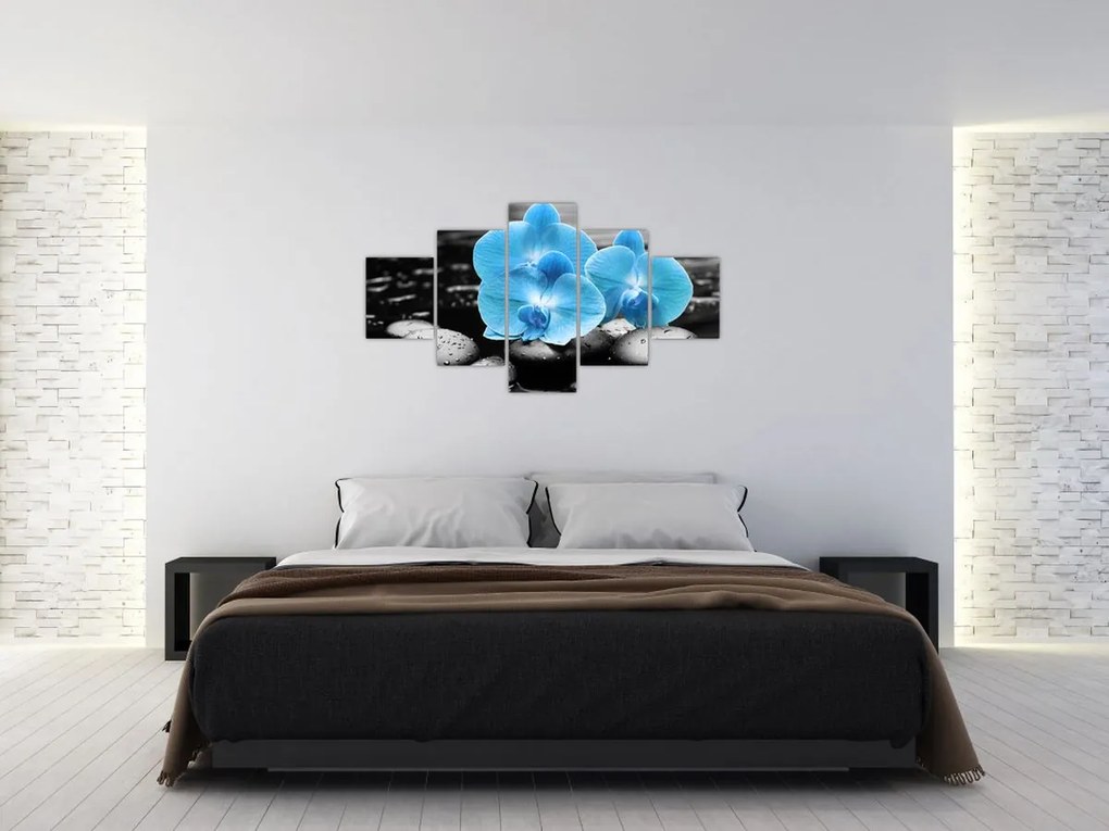 Obraz - Niebieska Orchidea (125x70 cm)
