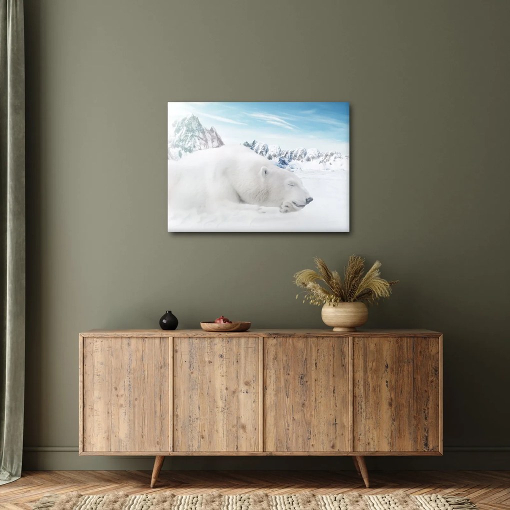 Obraz - Niedźwiedź polarny (70x50 cm)