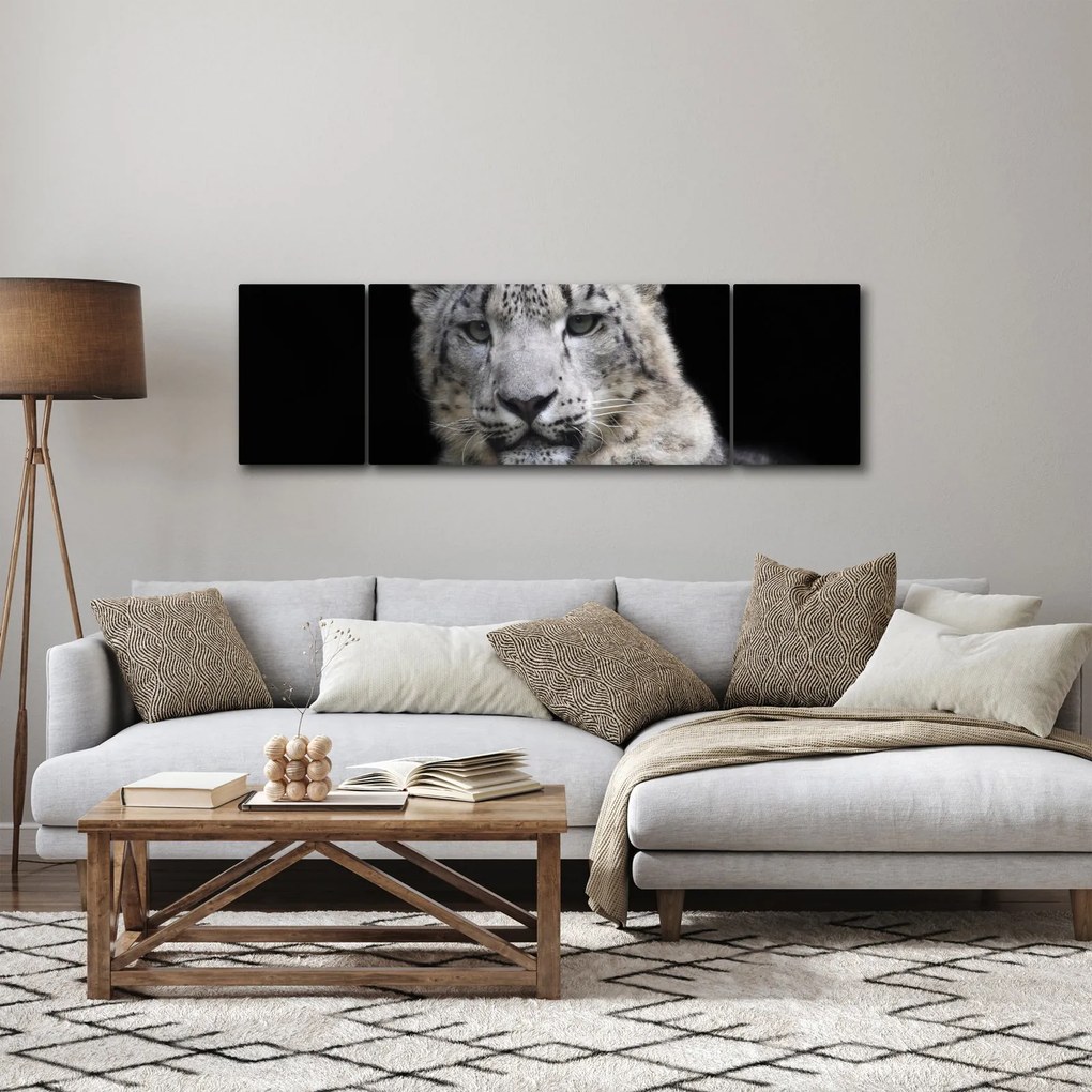 Obraz - Snow Leopard (170x50 cm)