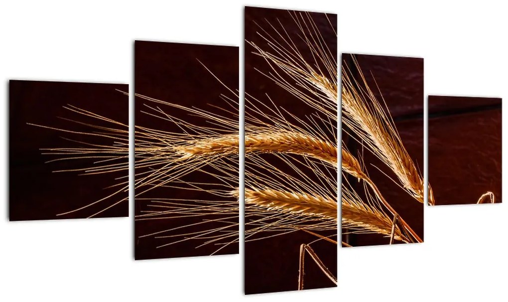 Obraz - Fragment kłosa żyta (125x70 cm)