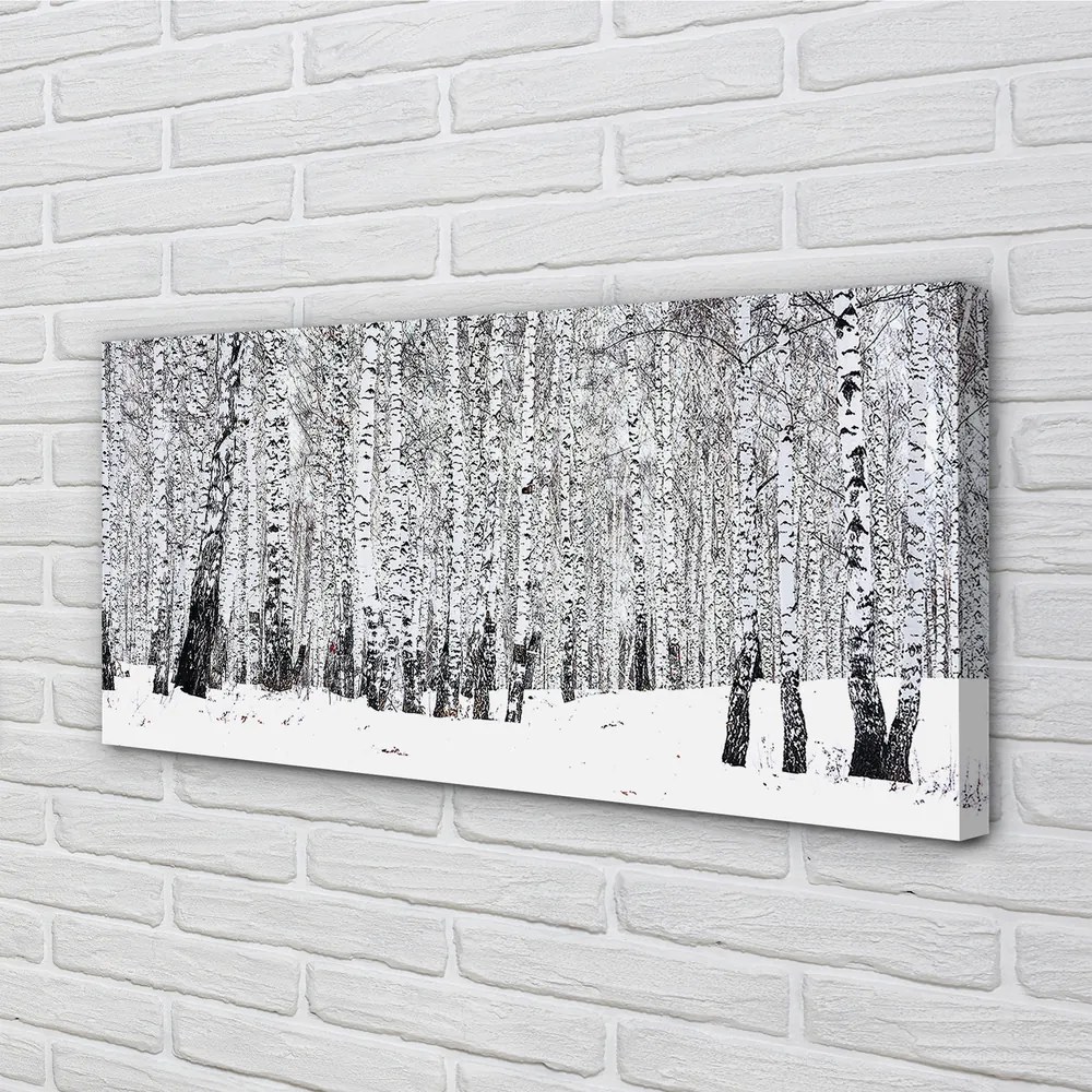 Fotoobraz na płótnie Zimowy Krajobraz z Brzozami