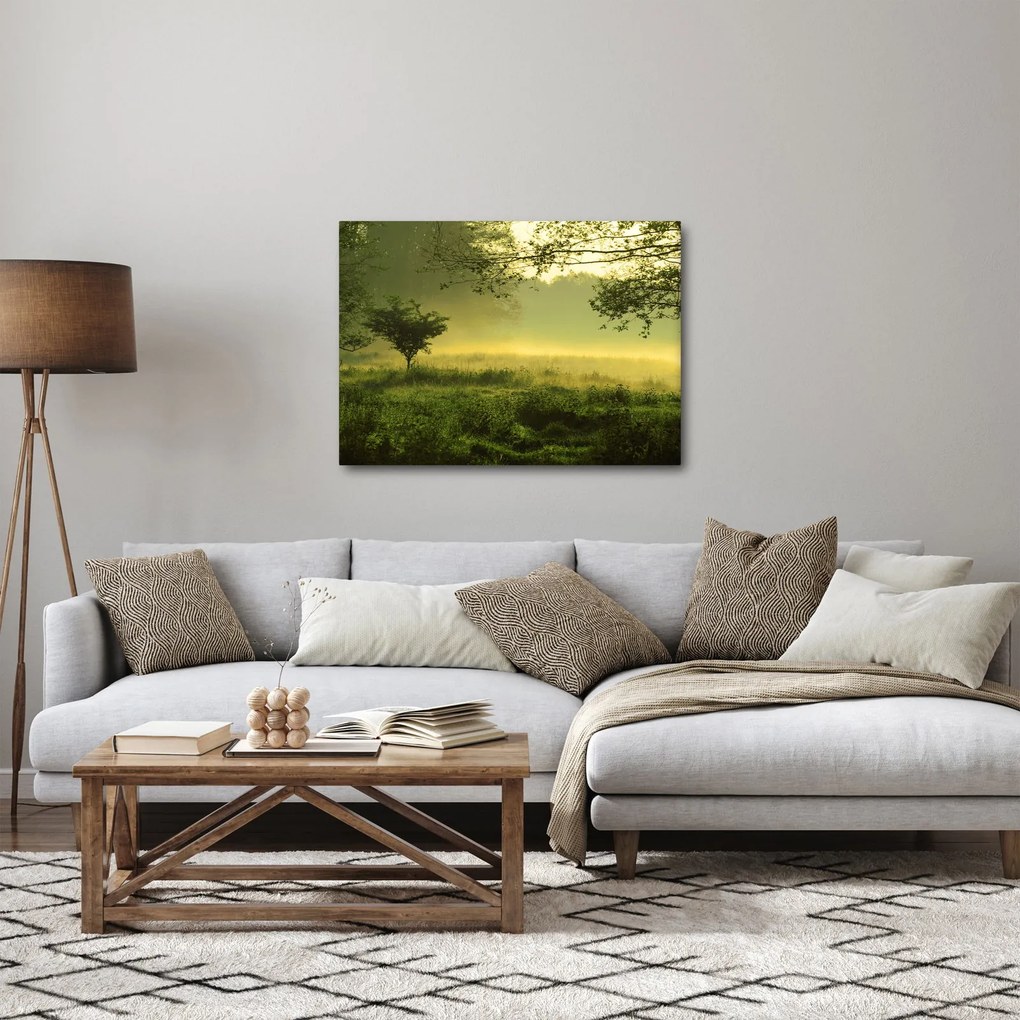 Obraz - Budzący się las (70x50 cm)
