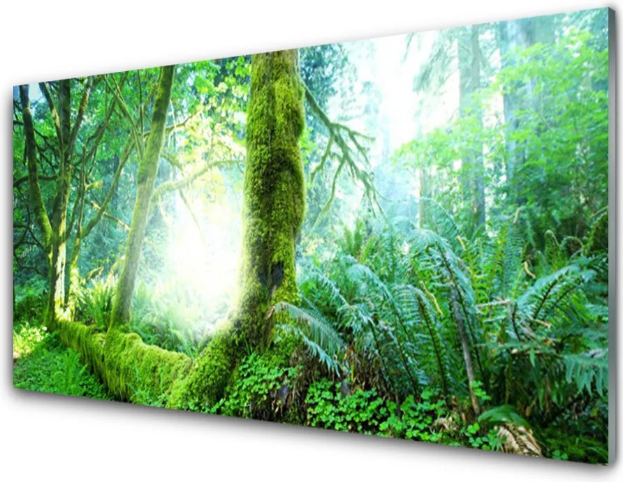 Szkło do Kuchni na Ścianę Miękkość Leśnego Mchu