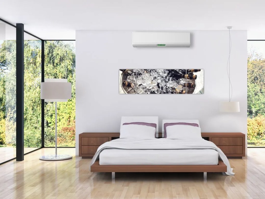 Obraz - szampan w lodzie (170x50 cm)