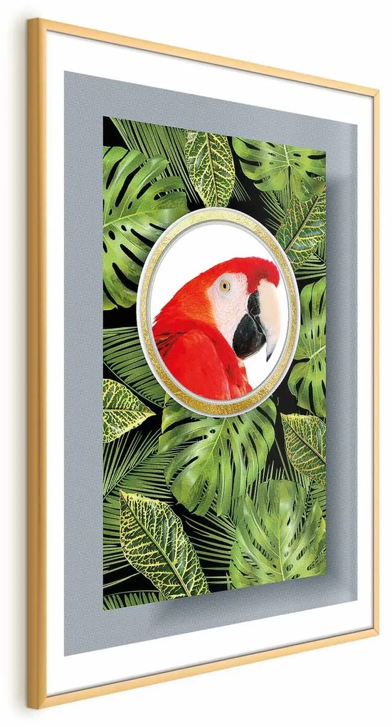 Plakat Papuga w dżungli 60x90 cm z ramą złotą z marginesem ARTGEIST B