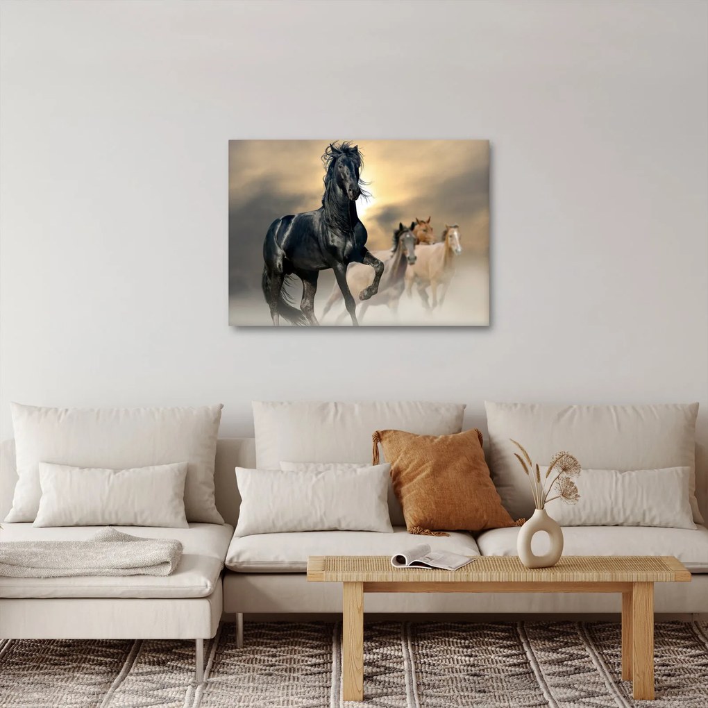 Obraz - Konie (70x50 cm)