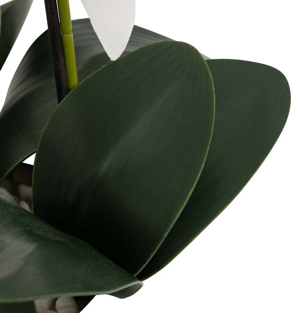 Sztuczny storczyk MICK w ceramicznej doniczce, 80 cm